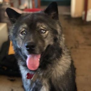 Meet your Posher, Ruben